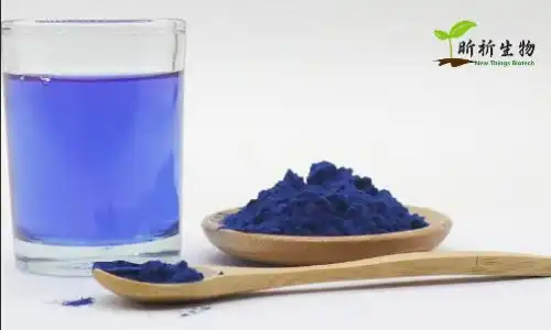 Blue Spirulina Organic for Skin, Energy, and Daily Wellness